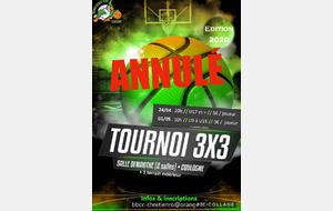 Annulation Tournois 3X3