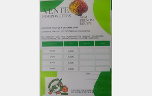 VENTE DE POMPONETTES